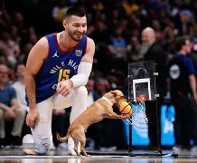 爱游戏APP-辽宁铁人引援最新消息